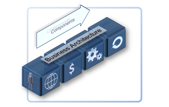 TaxonomyB